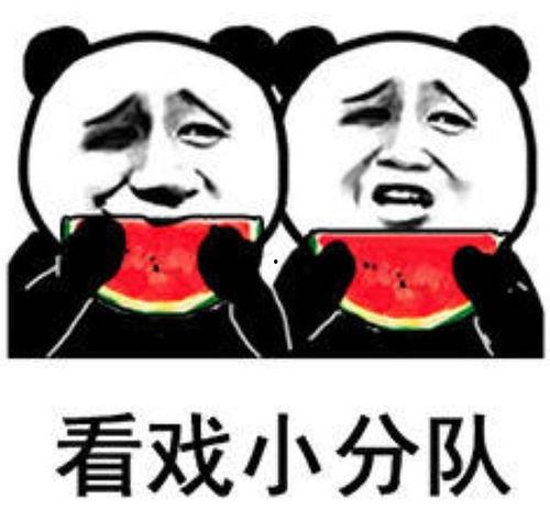 吃瓜中断表情包