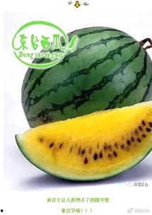 点开吃瓜,揭秘娱乐圈那些不为人知的幕后故事