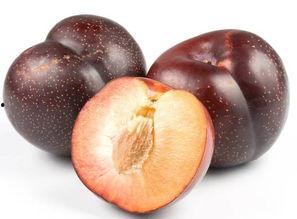 麻瓜不会吃李子,为何他们不懂品尝李子的甘甜