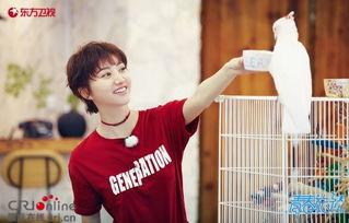 王源吃瓜前线,揭秘娱乐圈幕后风云