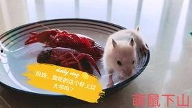 吃瓜吵架背景音,一场吃瓜吵架的火爆现场