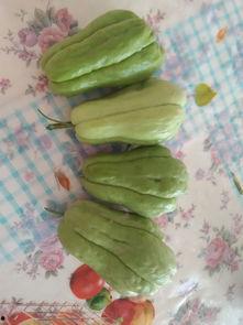 吃瓜大神图片大全,趣味横生的网络现象解析