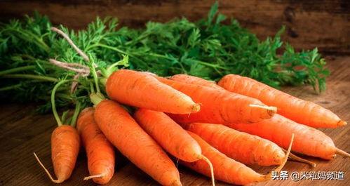 带你吃瓜胡萝卜,带你领略“吃瓜胡萝卜”的独特魅力