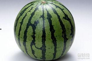 产妇可以吃瓜花,瓜花美食助力身体恢复与营养均衡