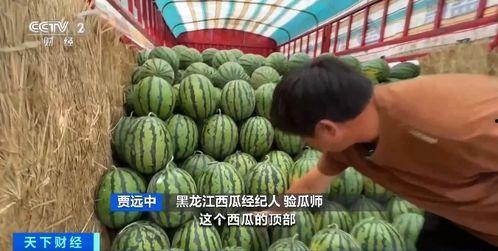 现在吃瓜都要钱吗,揭秘付费吃瓜背后的真相