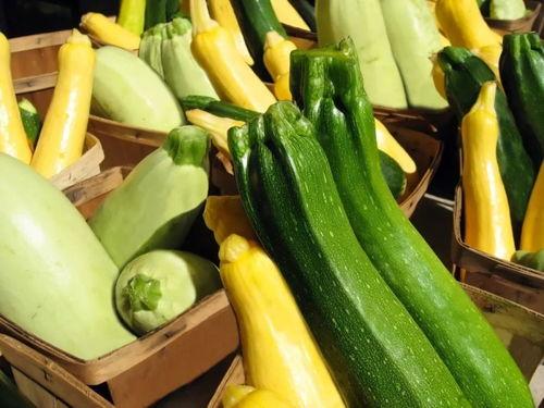 吃瓜热门免费吃瓜