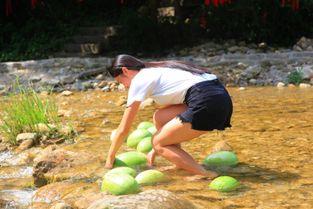 最佳吃瓜群众图文,一场视觉盛宴的幕后故事